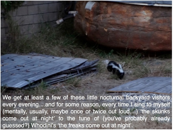 Tackling the Floor! (and....The Skunks Come Out at Night)